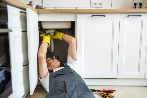 Best Sprinkler Systems  in Prescott, WI