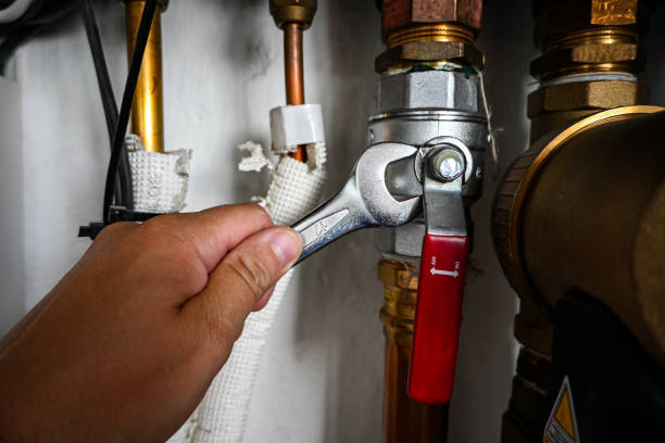 Best Best Plumbers Near Me  in Prescott, WI